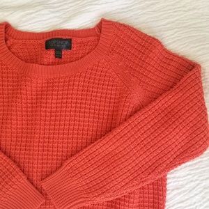 NWOT TOPSHOP Crew Crop